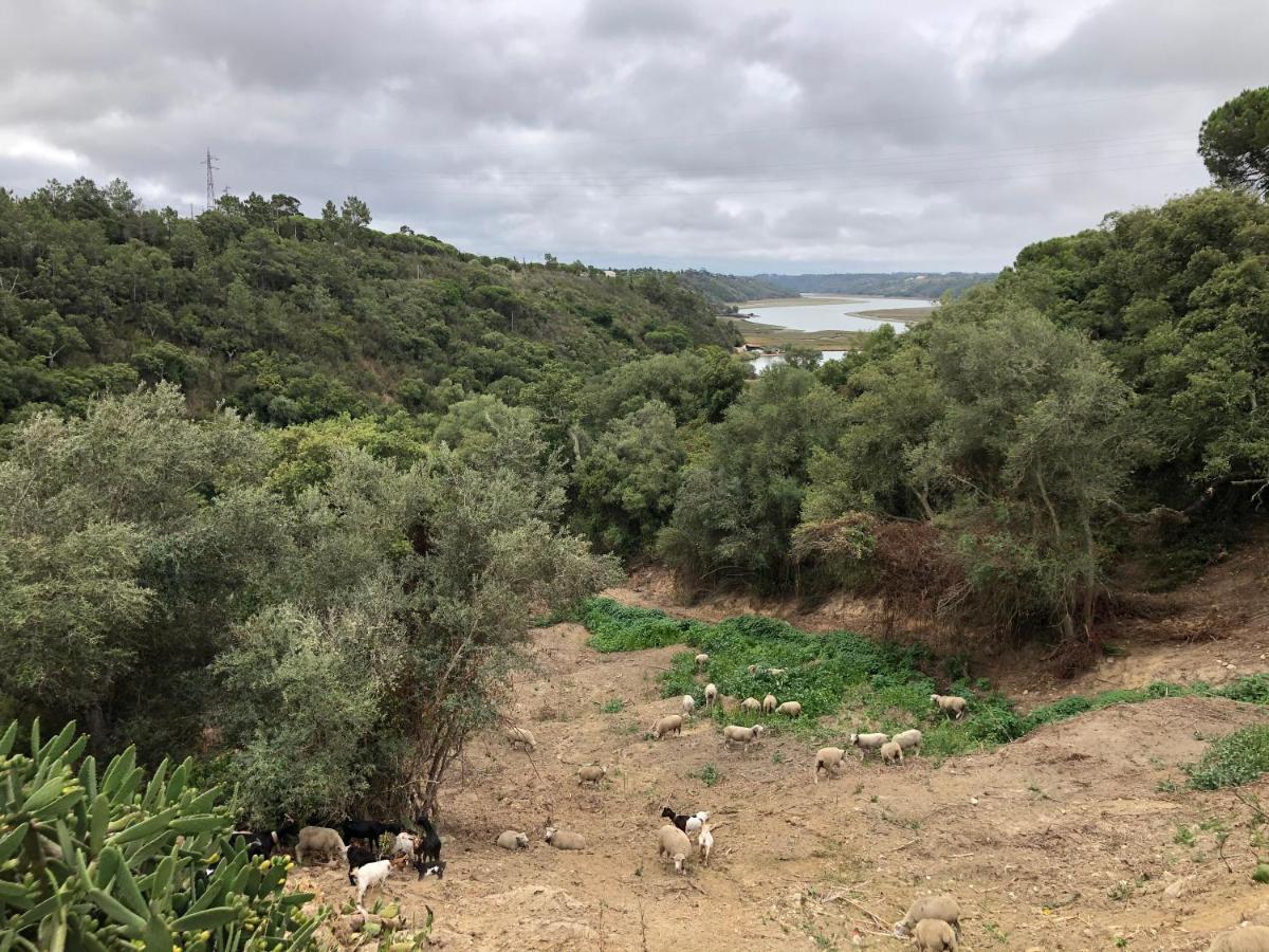 Herdade Do Freixial - Turismo Rural Vila Nova de Milfontes Bagian luar foto
