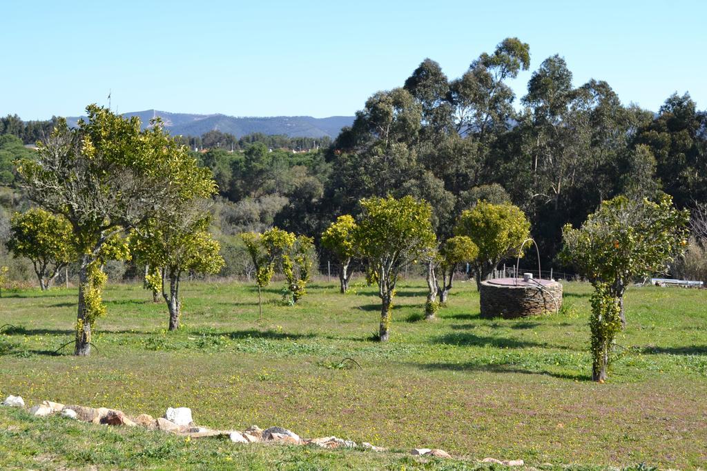 Herdade Do Freixial - Turismo Rural Vila Nova de Milfontes Bagian luar foto